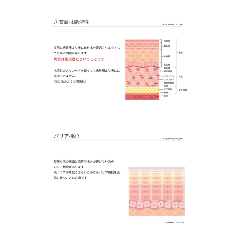 nano PDS エクソソームローション NMN配合 120ml ヴァイオファクター