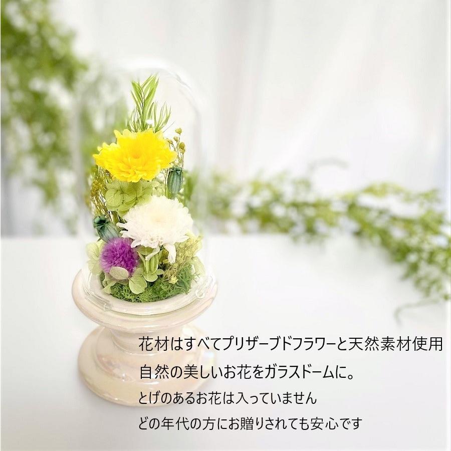 プリザーブドフラワー 仏花 お供え花 コンパクト 和菊 初七日 四十九日