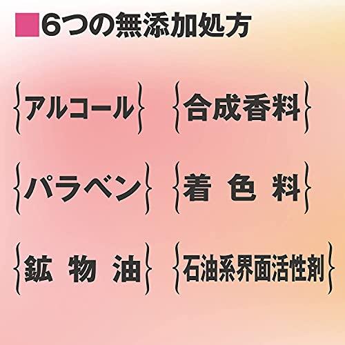 シンデレラタイム ブースターセラム ナノクレンジングゲル 敏感肌用 310mlx2本｜sereno2｜02