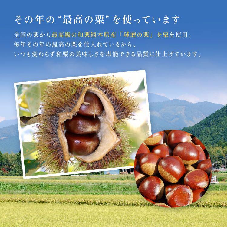 栗りん 栗千本 黄金 モンブラン 和栗 モンブランケーキ ギフト 大福 和菓子 誕生日 プレゼント | 栗りん | 14