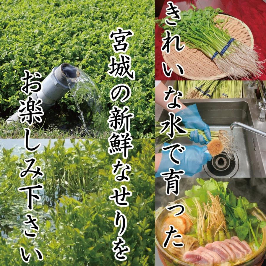仙台名物・国産鶏せり鍋セット(2人前)【送料無料】生産者応援!お歳暮・お中元・贈り物にも!おうち時間を贅沢に! :toriseri01:仙台せり鍋せり草庵 - 通販 - Yahoo!ショッピング 仙台名物・国産鶏せり鍋セット(2人前)【送料無料】生産者応援!お歳暮・お中元・贈り物にも!おうち時間を贅沢に! :toriseri01:仙台せり鍋せり草庵 - 通販 - Yahoo!ショッピング