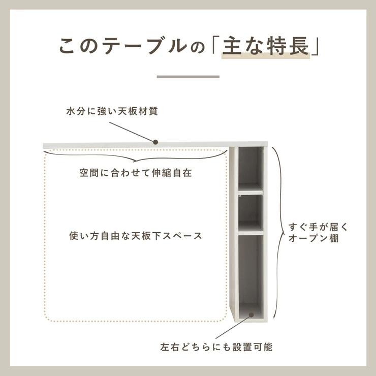 SESAME キッチンカウンター ゴミ箱 上 ラック カウンターテーブル 単品