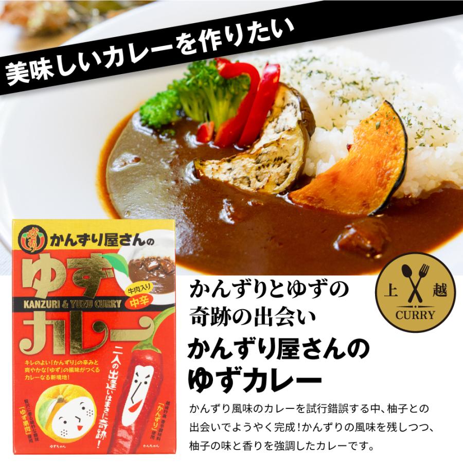 [新潟県上越市]ご当地カレー 選べる！食べ比べセット（トワイライトエクスプレスカレー×1食、選べるカレー×１食））｜sesibon｜05