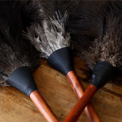 REDECKER（レデッカー） 羽はたき 50cm 黒 はたき ほこり取り ハタキ 掃除 おしゃれ 羽根 羽根はたき 羽根ハタキ ...