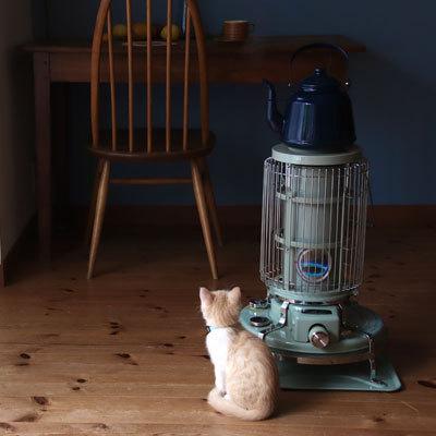 北海道送料無料 アラジン石油ストーブ Bf 3911 G グリーン アラジンブルーフレームヒーター 暖房器具 灯油ス トーブ 防災グッズ Tokilaboトキラボヤフー店 通販 Yahoo ショッピング