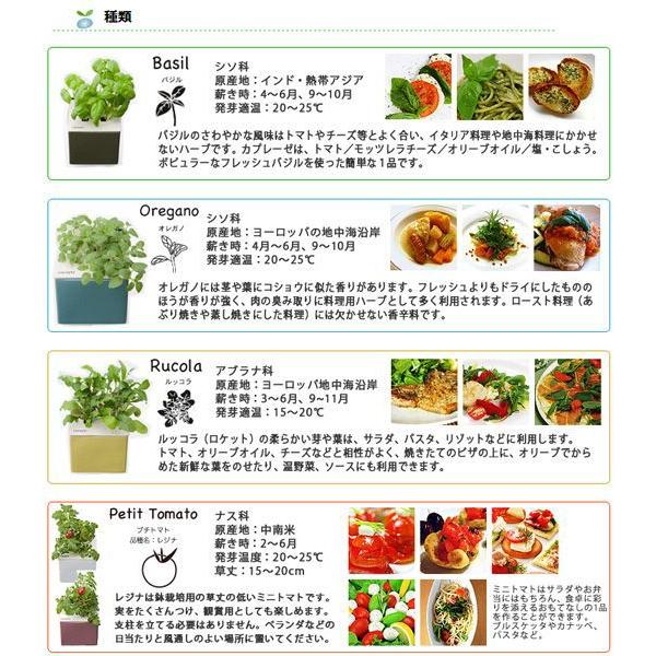 水耕栽培 心知菜園  (ピンク：プチトマトの種付き) 水耕栽培キット 野菜 花 イチゴ 液体 肥料 スポンジ 種 室内用 おしゃれ｜sessuimura｜03