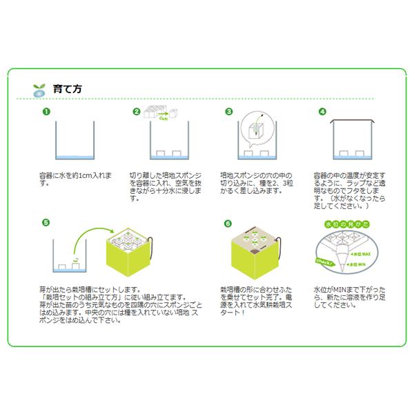 水耕栽培 心知菜園  (ピンク：プチトマトの種付き) 水耕栽培キット 野菜 花 イチゴ 液体 肥料 スポンジ 種 室内用 おしゃれ｜sessuimura｜04