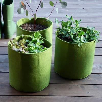 Haxnicks Vigoroot ヴィゴルート プラントポット l 3枚入 布 プランター おしゃれ 大型 花 野菜 鉢 北欧 カバー 家庭 菜園 Gd Tokilaboトキラボヤフー店 通販 Yahoo ショッピング