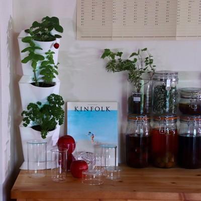 Minigarden おうちでミニガーデン コーナータイプ 家庭菜園 プランター ガーデニング おしゃれ ベランダ菜園 かわいい ベランダガーデニング Gd Tokilaboトキラボヤフー店 通販 Yahoo ショッピング