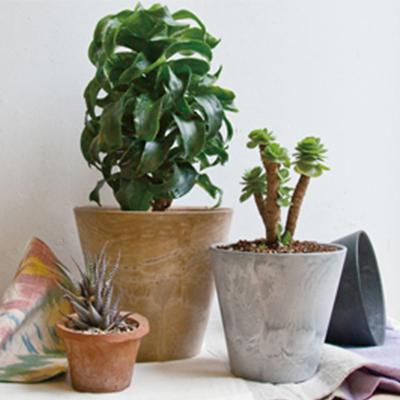 アマブロ　アートストーン　鉢と受け皿 amabro（アマブロ） プランター 【 鉢 ＆ 受け皿 セット 】 アート