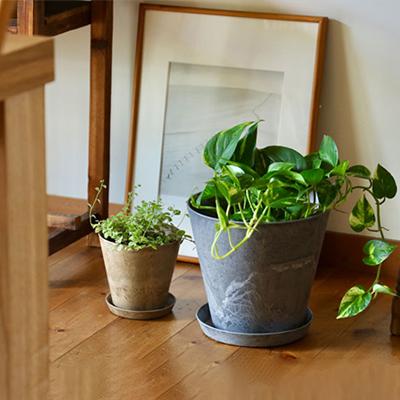 アマブロ　アートストーン　鉢と受け皿 楽天市場】受け皿 amabro アートストーン ART STONE SAUCER