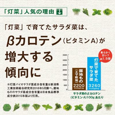 水耕栽培 Akarina01 灯菜 アカリーナ Led 水耕栽培キット Ledライト 液体 肥料 観葉植物 スポンジ 野菜 Hp Tokilaboトキラボヤフー店 通販 Yahoo ショッピング
