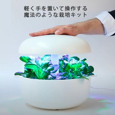 水耕栽培 Plantui 6 プラントゥイ6 LED 水耕栽培キット LEDライト 肥料