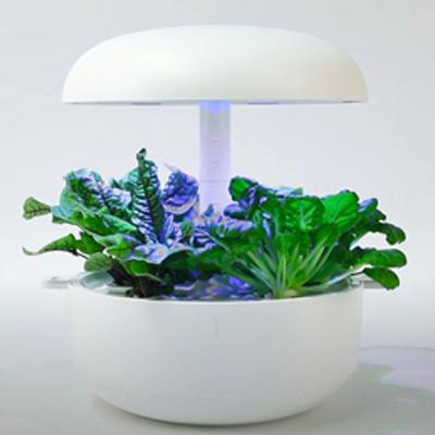 水耕栽培用プランター 六連