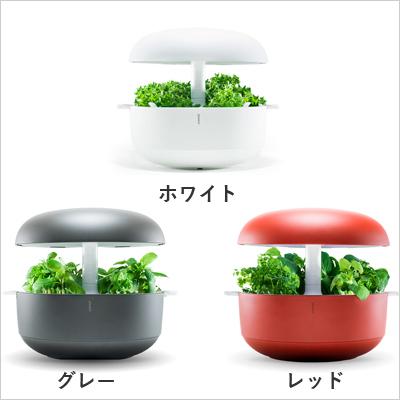 水耕栽培 Plantui 6 プラントゥイ6 LED 水耕栽培キット LEDライト 肥料