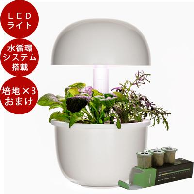 割引価格 水耕栽培 Plantui 3e プラントゥイ3e Led 水耕栽培キット Ledライト 肥料 観葉植物 スポンジ 球根 野菜 栽培用ライト