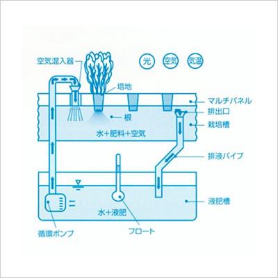 水耕栽培 ホームハイポニカ PLAABO プラーボ 水耕栽培キット 野菜 花 イチゴ 液体 肥料 スポンジ｜sessuimura｜04