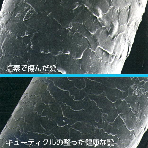 塩素除去フィルター 塩素除去 タカギ Miz-e (2個入り) JSB023BW JSB024BM非対応 | タカギ | 05