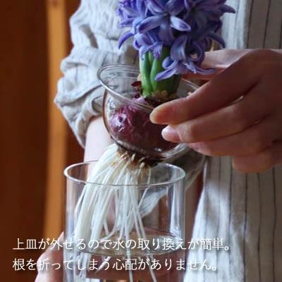 SPICE of Life 水栽培 BULB VASE バルブベース ショートサイズ SPICE of Life 水栽培 BULB VASE バルブベース ショートサイズ
