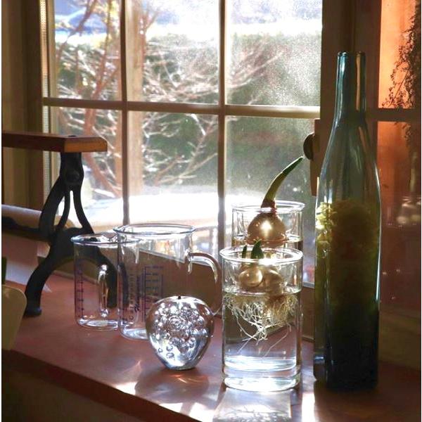 SPICE of Life 水栽培 BULB VASE バルブベース ショートサイズ