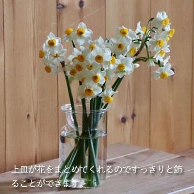 SPICE of Life 水栽培 BULB VASE バルブベース ショートサイズ SPICE of Life 水栽培 BULB VASE バルブベース ショートサイズ