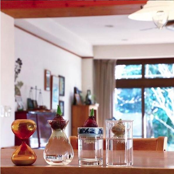 SPICE of Life 水栽培 BULB VASE バルブベース ショートサイズ SPICE of Life 水栽培 BULB VASE バルブベース ショートサイズ