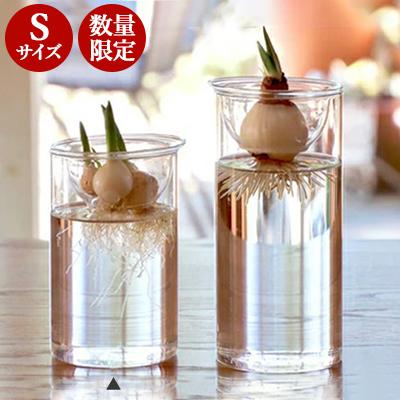 水栽培 Bulb Vase バルブベース 球根つき ショートサイズ 花瓶 容器 球根 ヒヤシンス 花 プレゼント ギフト So Tokilaboトキラボヤフー店 通販 Yahoo ショッピング