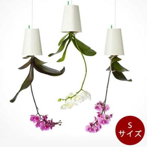 MULLER Boskke ボスケ スカイプランター・リサイクルド/Sサイズ