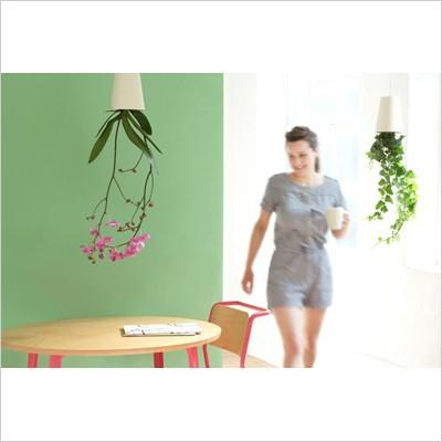 MULLER Boskke ボスケ スカイプランター・リサイクルド/Sサイズ