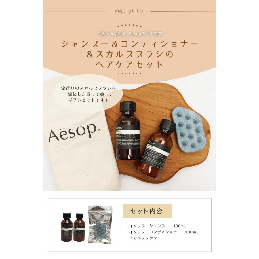 Aesop（イソップ） シャンプー コンディショナー スカルプブラシ
