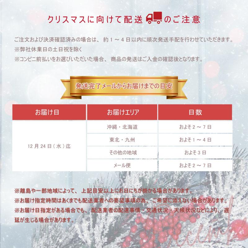 Christian Dior（クリスチャン・ディオール） 名入れ 巾着 ディオール