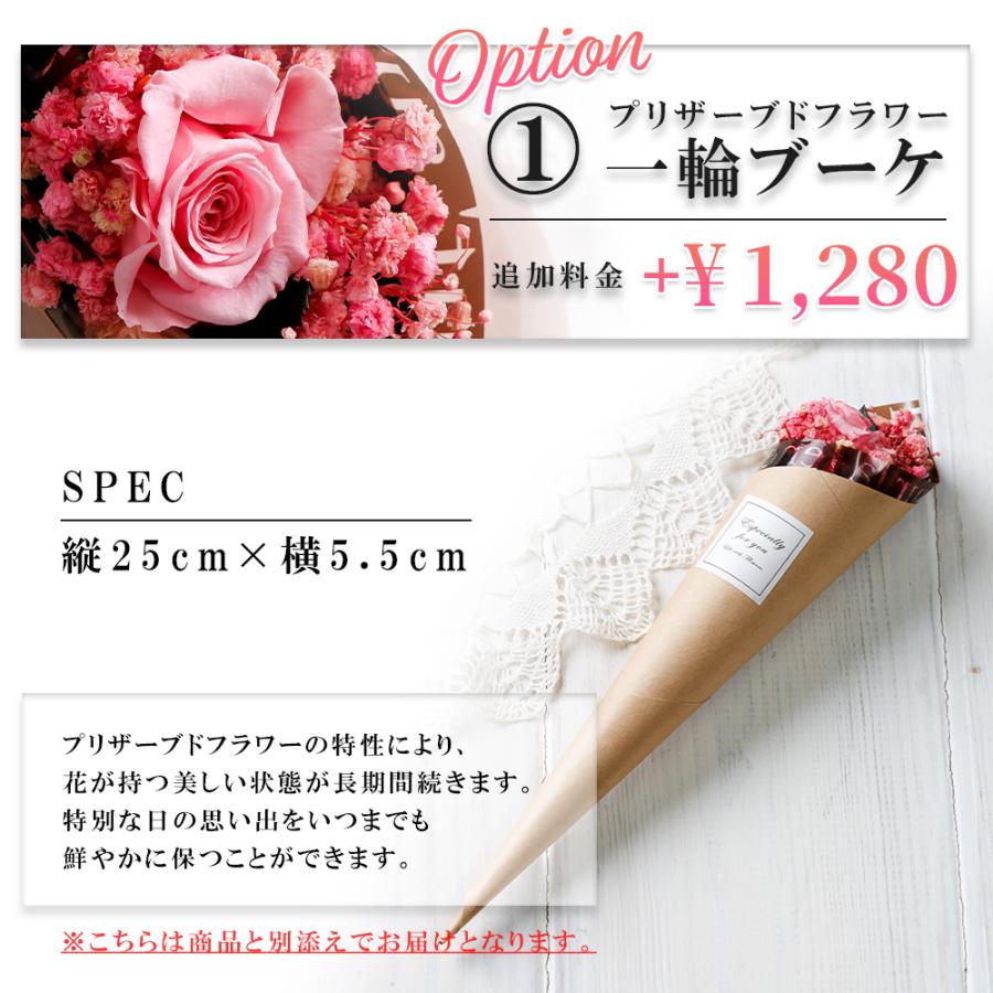 国内正規品 公式ショッピングバッグ JILLSTUART ジルスチュアート 財布 ラウンド長財布 レディース 牛革 エターナル JSLW0DT1 喜ばれるギフト | JILL STUART | 15