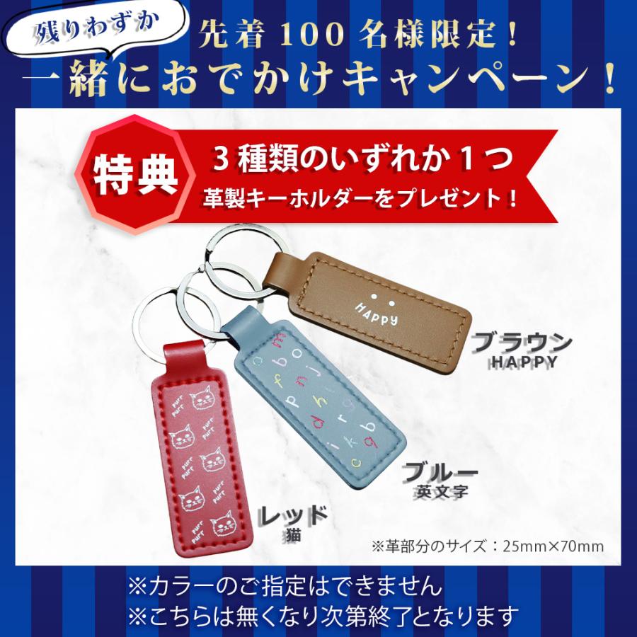 Paul Smith（ポール・スミス） 財布 メンズ 2つ折り財布 ハイライト