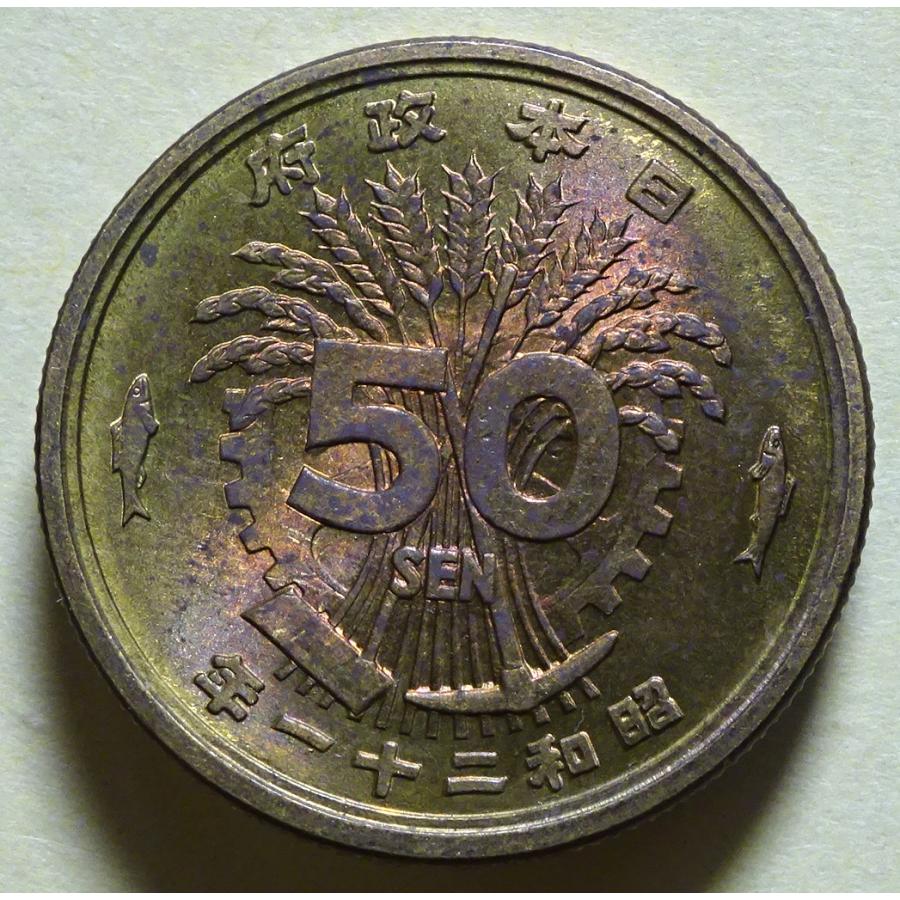 本鼈甲 バングル、アクセサリー 袋込104g 東Y7-0821⭐︎2F Amazon