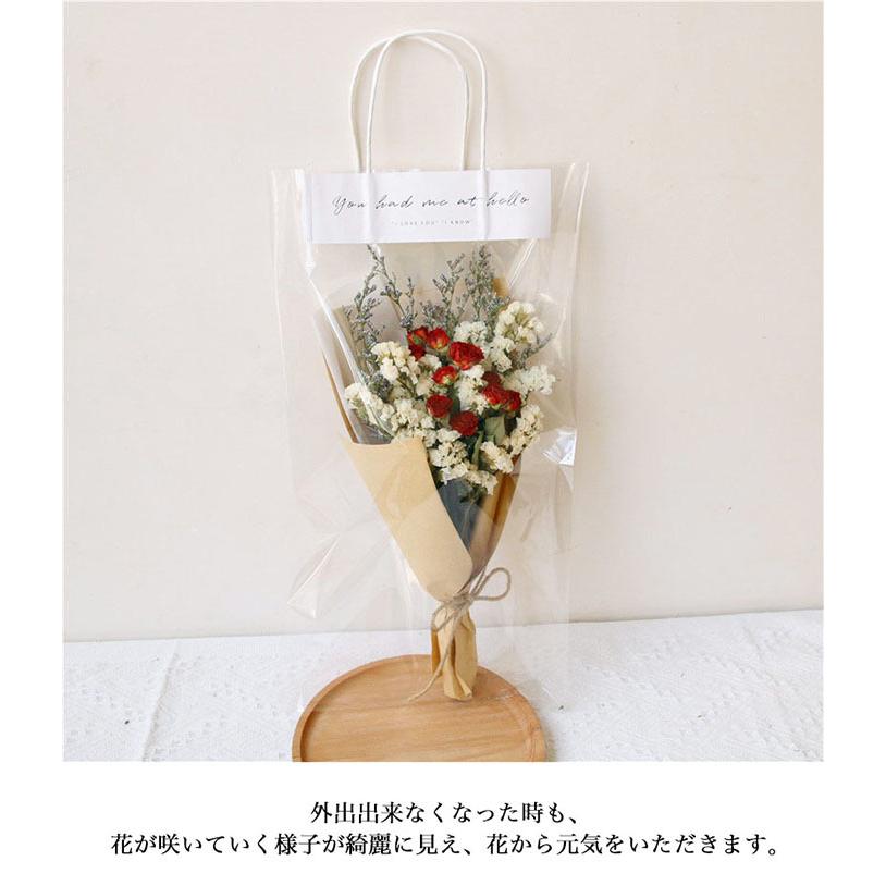 人気ブラドン 送料無料 ドライフラワー 花束 ブーケ かすみ草 母の日 プレゼント 花 スターチス 花材 バラ スイーツ チョコ以外 プリザーブドフラワー 水やり不要 Aynaelda Com