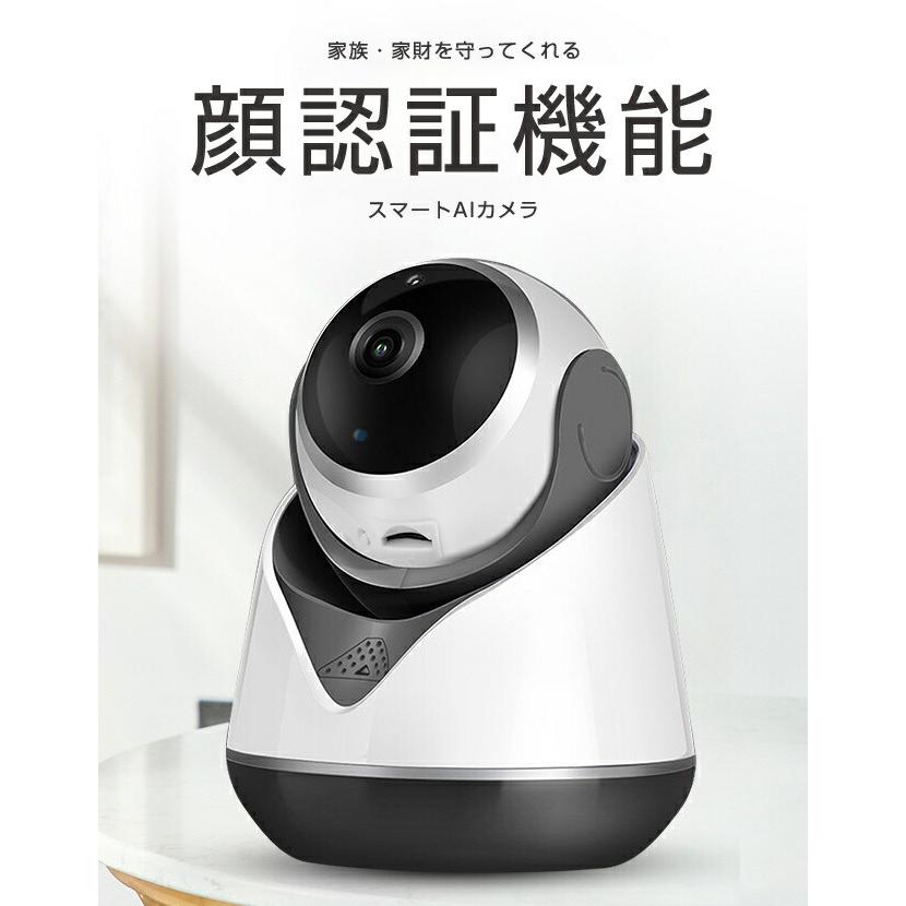 お手頃価格 送料無料 防犯カメラ ペット カメラ 留守番 ワイヤレス 高