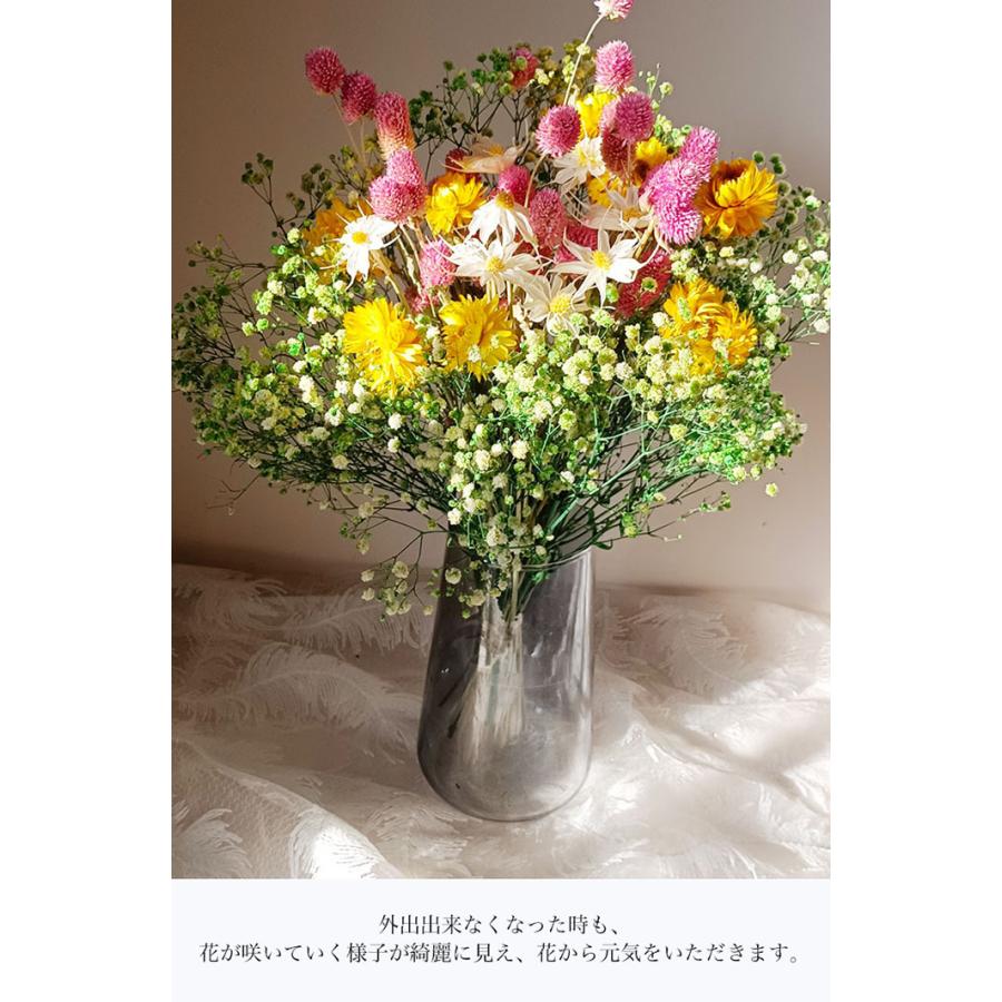 送料無料 花 ドライフラワー ブーケ 花瓶なし 花材 花束 詰め合わせ プリザーブドフラワー プレゼント 水やり不要 父の日 花材 ユーカリ バラ かすみ草 Fs8a Setasuta Shop 通販 Yahoo ショッピング