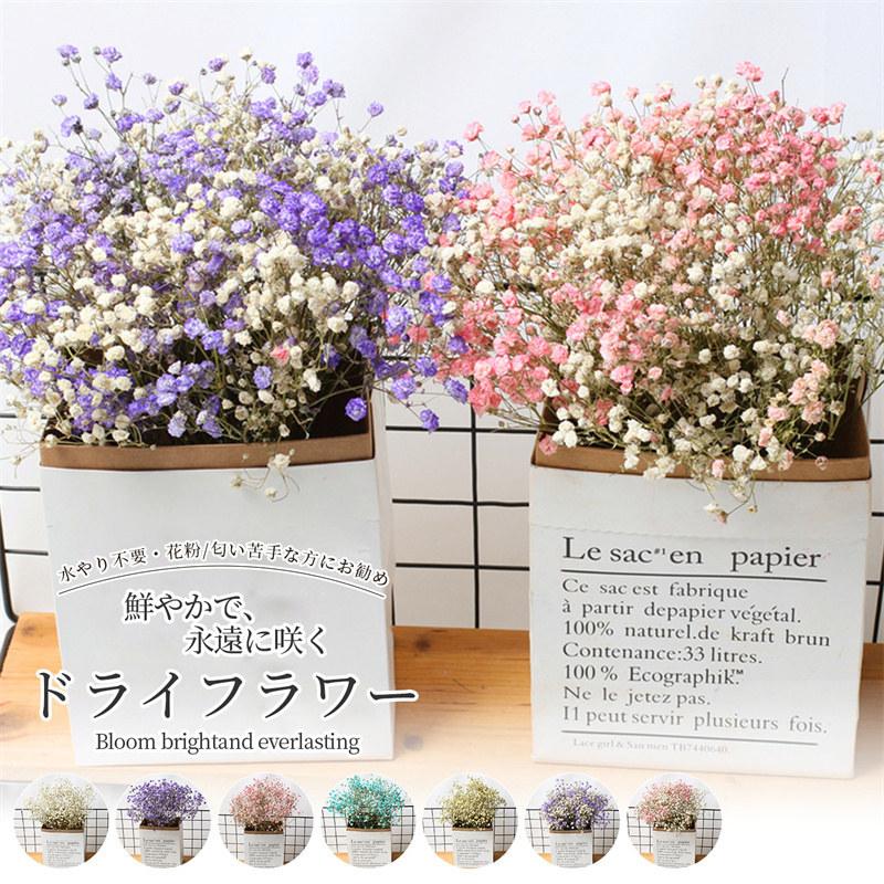 ドライフラワー 花材 ソープフラワー かすみ草 花束 母の日 プレゼント インテリア 飾り スイーツチョコ以外 水やり不要 Fs8a Setasuta Shop 通販 Yahoo ショッピング