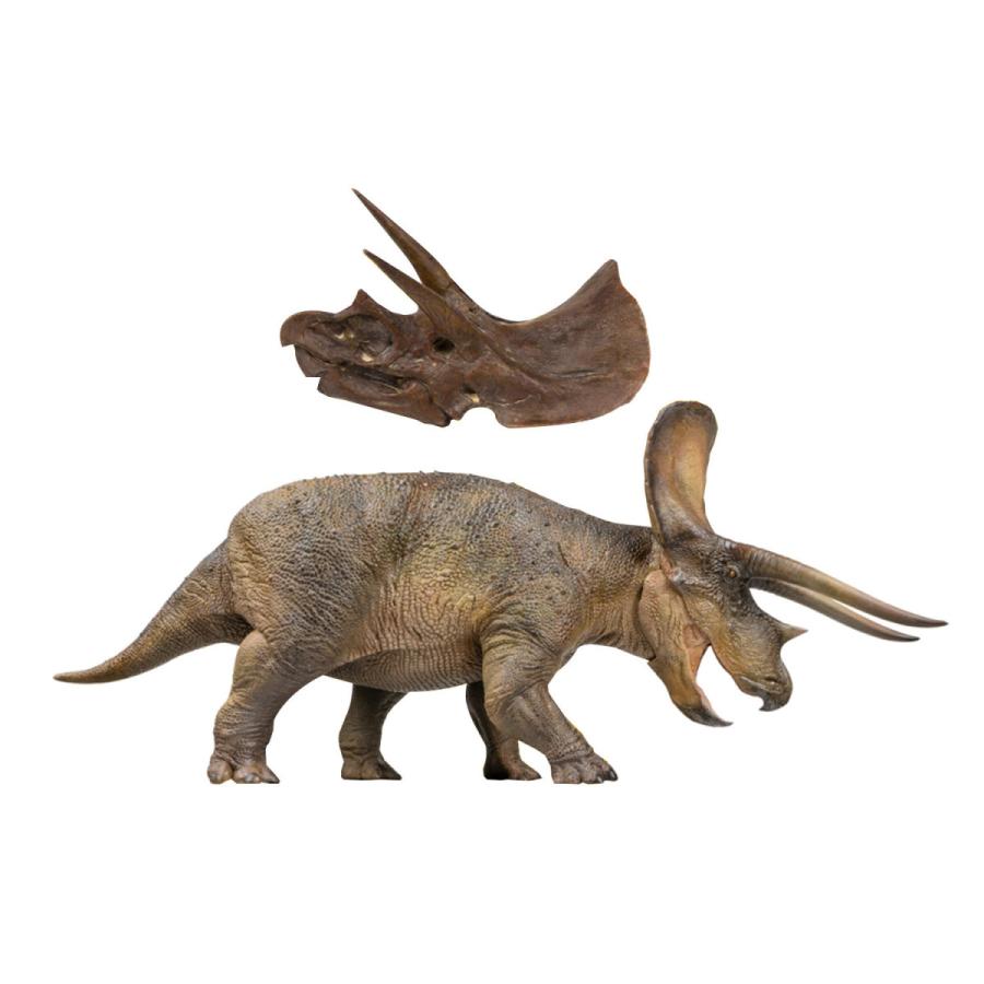 人気定番の Pnso 恐竜博物館 1 35 サイズ トリケラトプス New Triceratops 三角龍 植物食 恐竜 動物 フィギュア おもちゃ 模型 リアル 恐竜好き 誕生日 プレゼント 24 7cm級 Wantannas Go Id