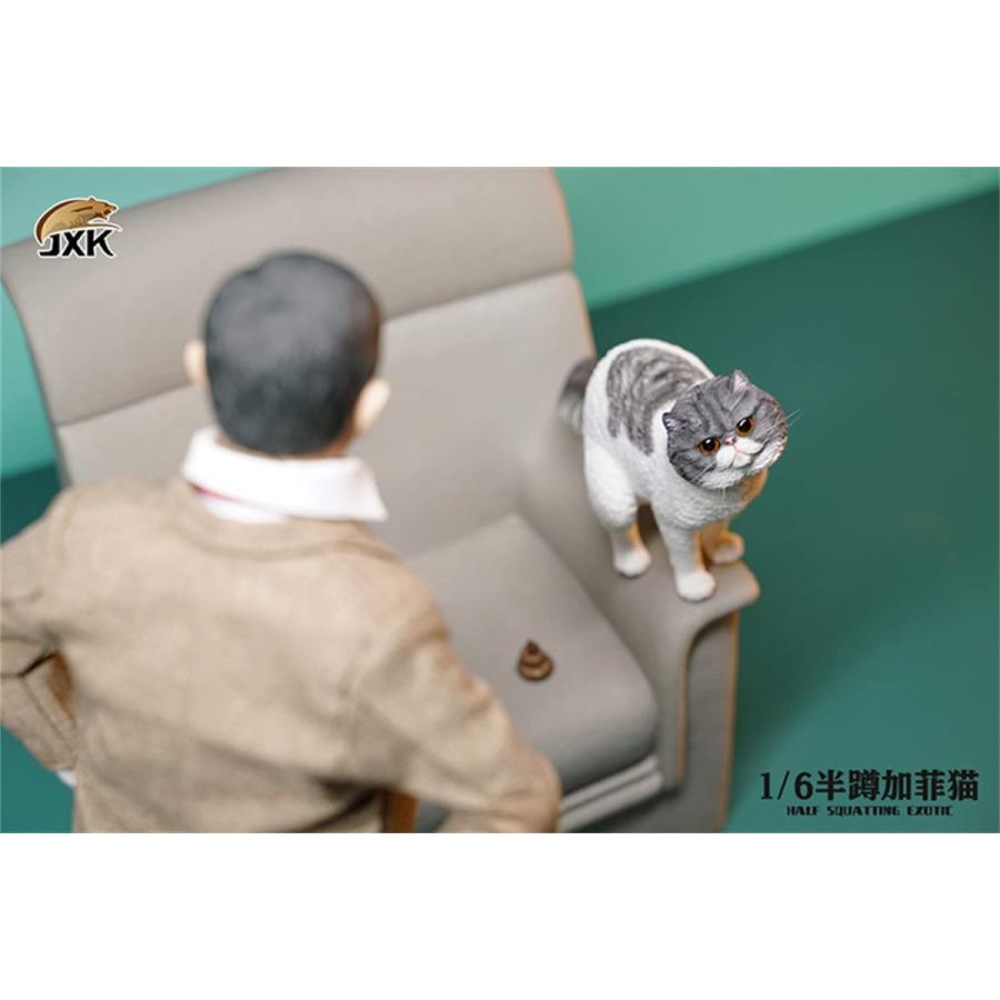 割引クーポン Jxk 1 6 サイズ エキゾチック ショートヘア 可愛い 滑稽 猫 動物 リアル フィギュア プラモデル おもちゃ 模型 オリジナル スタチュー 猫好き プレゼント 置物 Wantannas Go Id