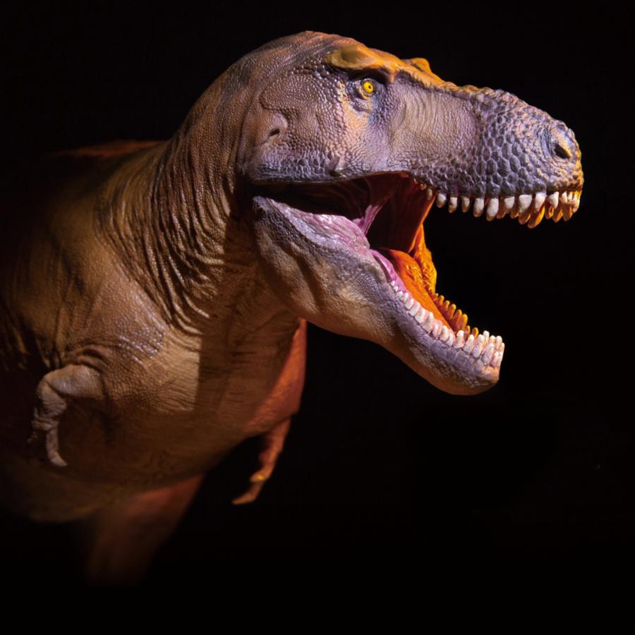 ライフモデルシリーズ T.rex ティランノサウルス (PVC塗装済み完成品