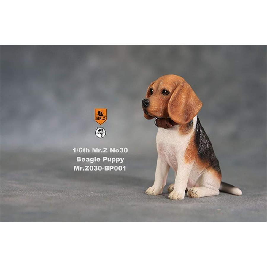 Mr Z 1 6 サイズ ビーグル 子犬 可愛い 犬 動物 リアル フィギュア Pvc プラモデル 犬好き 21年新作入荷 置物 プレゼント 模型 スタチュー プレミアム 大人のおもちゃ 誕生日