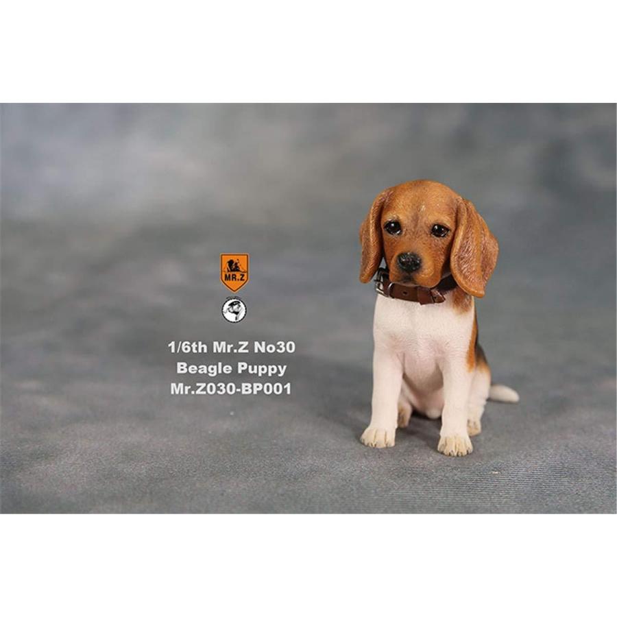 Mr Z 1 6 サイズ ビーグル 子犬 可愛い 犬 動物 リアル フィギュア 誕生日 プレミアム Pvc スタチュー プレゼント 大人のおもちゃ プラモデル 置物 驚きの価格が実現 犬好き 模型