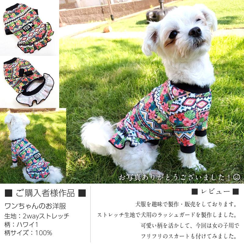 ニット生地 布 2wayストレッチ フルーツ柄 UVカット 犬服 レオタード