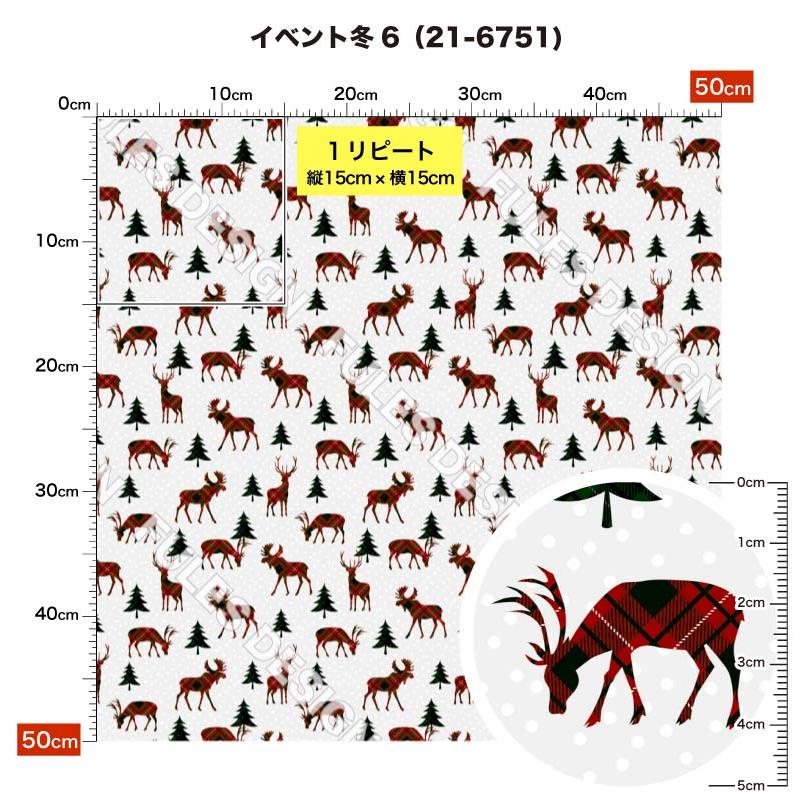 クリスマス柄　スムースニット winter_430jj_1.jpg