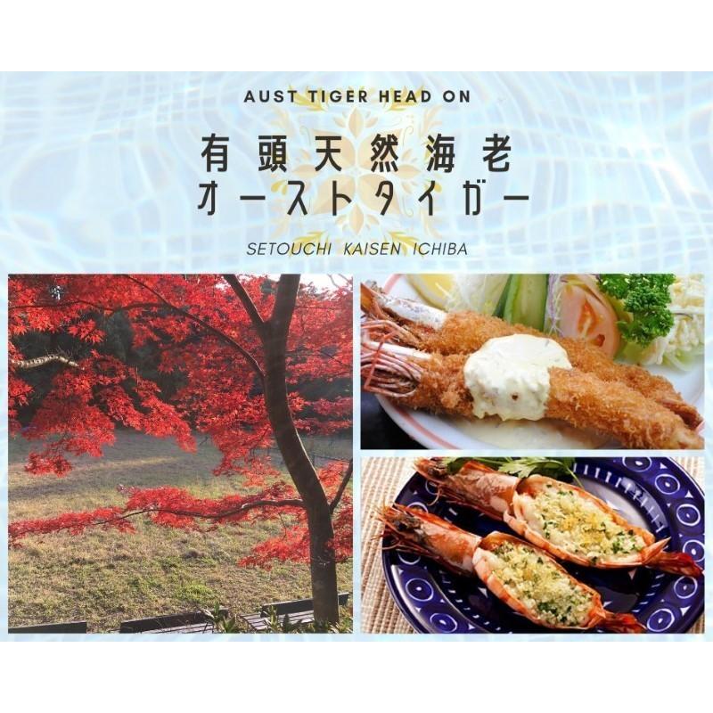 ☆即決特価エビ!! 激安オースト有頭海老 6/8 ブロック特大 ☆即決特価エビ!! 激安オースト有頭海老 6/8 ブロック特大