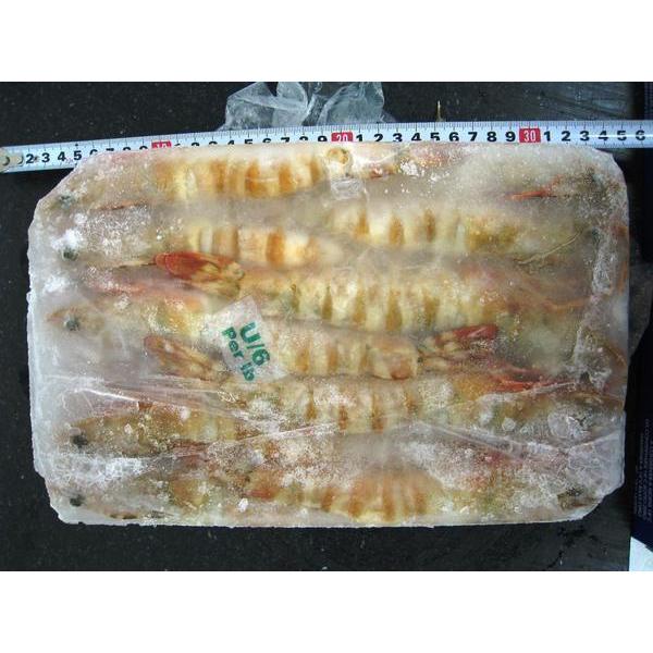 ★即決特価エビ!!激安オースト有頭アンダー６　ブロック特特大 |  | 02