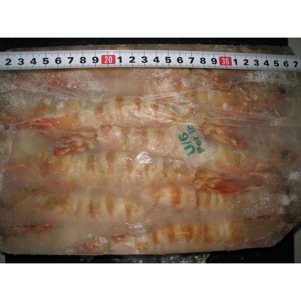 ★即決特価エビ!!激安オースト有頭アンダー６　ブロック特特大 |  | 05