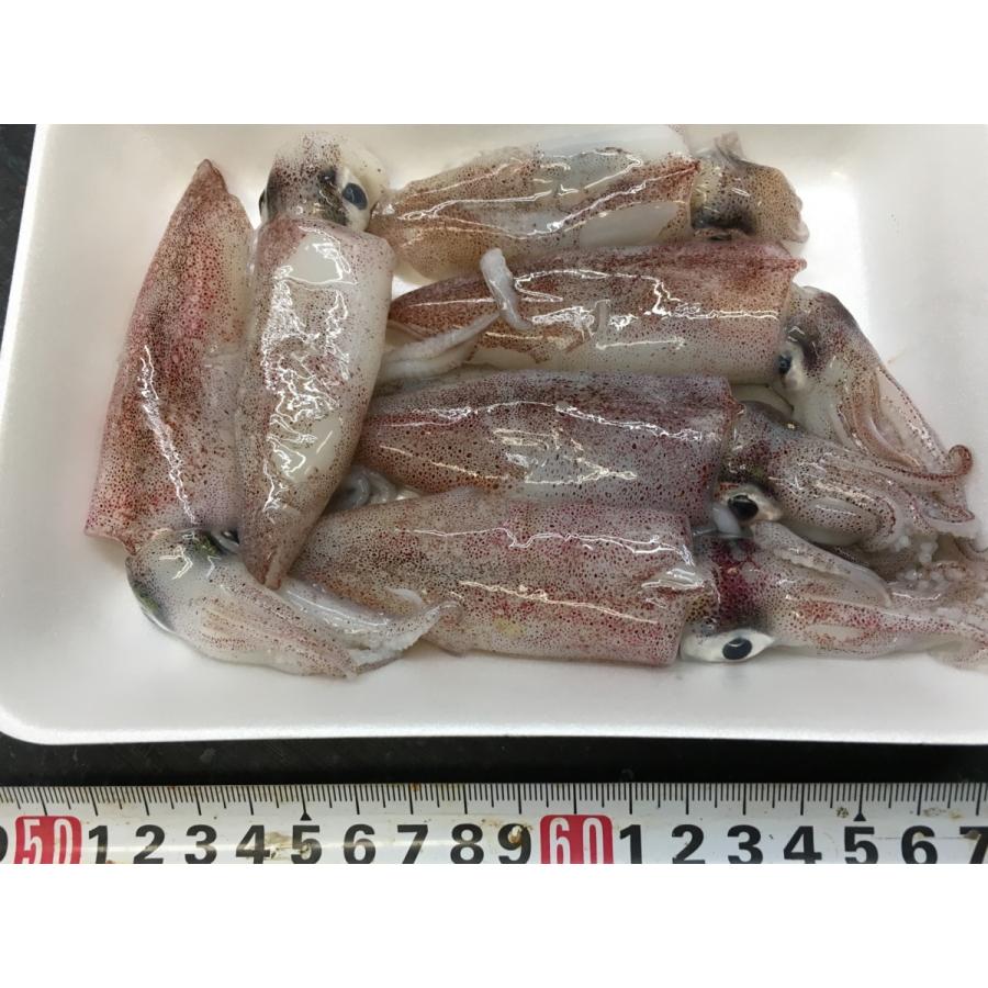 瀬戸内海でとれる小イカをcas凍結 べいかいかがですか Cas 001 瀬戸内海鮮市場yショッピング店 通販 Yahoo ショッピング