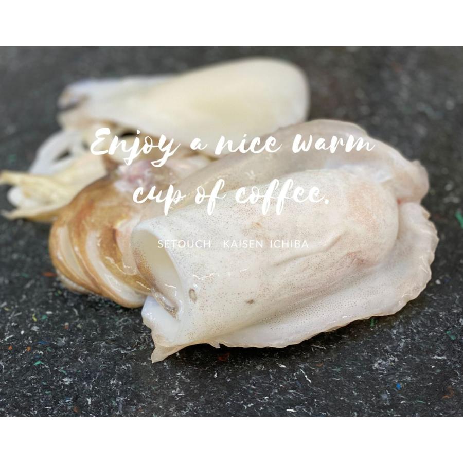 SALE／88%OFF】 瀬戸内海の活きの良い肉厚ハリイカをCAS凍結品でおとどけ smartpreventie.nl